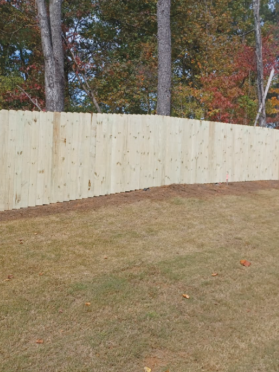 Outdoor Living Project